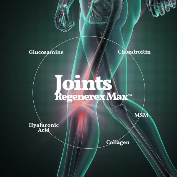 Joints Regenerex Max™ - Image 4